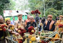 Sekda Harapkan Adat Menjangkap Buah Ketapang Dijadikan Warisan Budaya Tak Benda