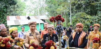 Sekda Harapkan Adat Menjangkap Buah Ketapang Dijadikan Warisan Budaya Tak Benda