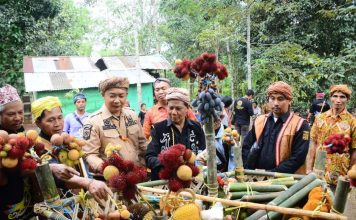 Sekda Harapkan Adat Menjangkap Buah Ketapang Dijadikan Warisan Budaya Tak Benda