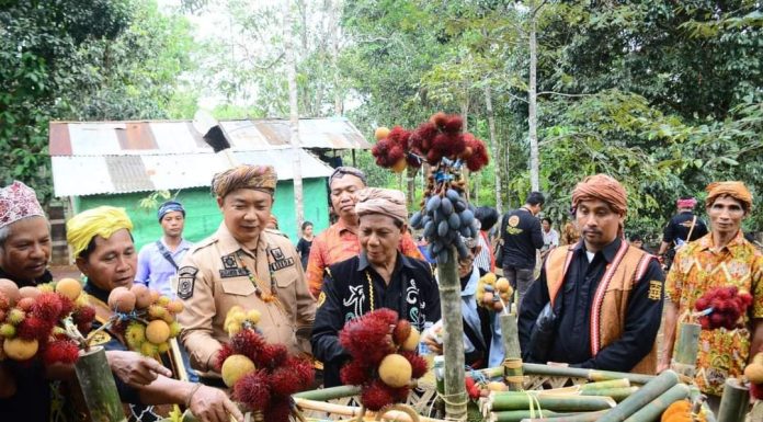Sekda Harapkan Adat Menjangkap Buah Ketapang Dijadikan Warisan Budaya Tak Benda