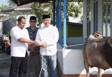 Sekda Ketapang Serahkan Hewan Qurban ke Surau Darussalam Delta Pawan