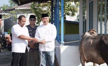 Sekda Ketapang Serahkan Hewan Qurban ke Surau Darussalam Delta Pawan