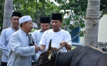 Pemkab Ketapang Serahkan 15 Ekor Sapi Qurban