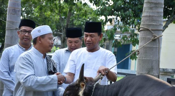 Pemkab Ketapang Serahkan 15 Ekor Sapi Qurban