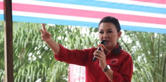 Karolin minta Panglima TNI tindak pelaku penusukan warga Landak di Jakarta