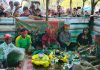 Samuel Apresiasi Masyarakat Angan Tembawang Terus Lestarikan Ritual Adat Notokng