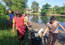 Peduli Lingkungan Personel Polsek Bengkong Dikerahkan Bersihakan Sungai Jembatan Golden Prawn