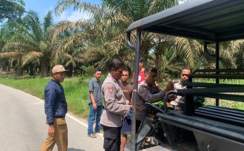 Lakalantas Sepeda Motor dan Mobil, Kapolsek Mandor Turun Bantu Evakuasi Korban