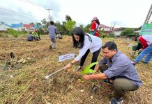 PMI Landak Tanam 500 Pohon