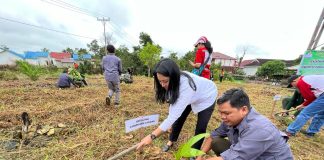 PMI Landak Tanam 500 Pohon