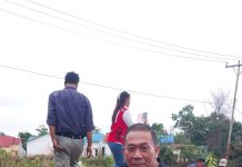 Pemkab Landak Dukung Program Penghijauan Lingkungan