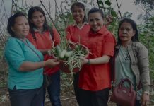 Karolin Hadiri Panen Raya Kebun PKK Desa Sidas