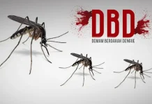 Waspada Kasus DBD di Landak Meningkat, Ngabang Tempati Posisi Kasus Tertinggi
