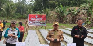 Gerakan Taman Cabai, Salah Satu Upaya Pemkab Landak Tekan Inflasi Dibidang Pertanian