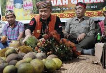Sekda Ketapang Hadiri Acar Adat Padi Mansak Buah Garak di Sekembar Nanga Tayap