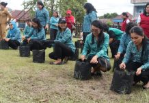Gerakan Tanam Cabai PKK Landak Peringati HKG – PKK Ke 52