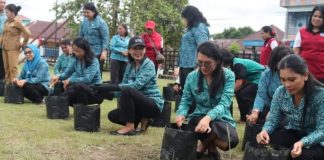 Gerakan Tanam Cabai PKK Landak Peringati HKG – PKK Ke 52
