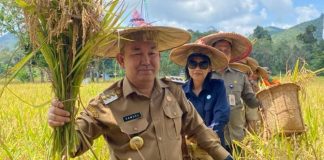 Panen Raya Padi di Angan Tembawang, Samuel Minta Petani Kelola Lahan Tidur