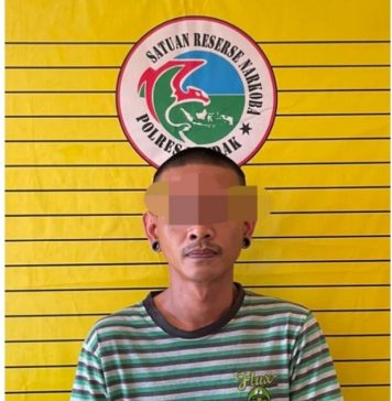 Sat Resnarkoba Polres Landak Kembali Ringkus Pelaku Pengedar Narkoba