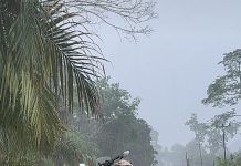 Banjir Rendam Sejumlah Desa di Kecamatan Air Besar