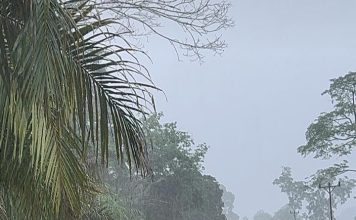 Banjir Rendam Sejumlah Desa di Kecamatan Air Besar