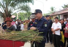 Panen Raya di Desa Semenok, Samuel Himbau Petani Mamfaatkan Lahan Tidur