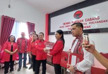 Karolin Optimis Dapat Rekomendasi PDI Perjuangan Maju Pilkada Landak
