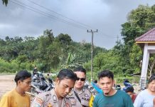Heboh Warga Jelimpo Temukan Anak Buaya Dalam Kondisi Terikat Lakban
