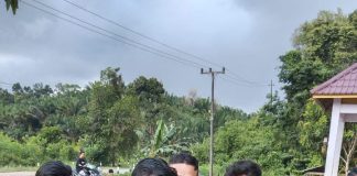 Heboh Warga Jelimpo Temukan Anak Buaya Dalam Kondisi Terikat Lakban