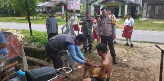 Antisipasi Rabies, DPPKP Gelar Vaksinasi Hewan