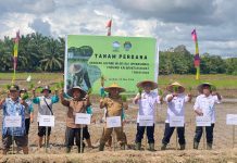Samuel Hadiri Tanam Perdana Padi dan Buka Sekolah Lapangan Iklim Operasional Provinsi Kalbar
