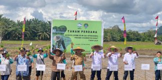 Samuel Hadiri Tanam Perdana Padi dan Buka Sekolah Lapangan Iklim Operasional Provinsi Kalbar