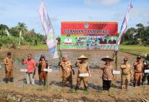 Samuel Harapkan Hasil Pertanian Padi di Desa Tubang Raeng Meningkat