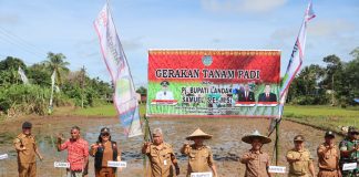 Samuel Harapkan Hasil Pertanian Padi di Desa Tubang Raeng Meningkat