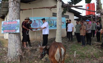 Berbagi Kebahagiaan Dihari Raya Idul Adha 1446 Hijriah, Polres Landak Qurban Sapi dan Kambing