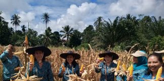 Pj. Ketua TP- PKK Landak Atensikan Penurunan Stunting Saat Lakukan Pembinaan TP PKK di Menyuke