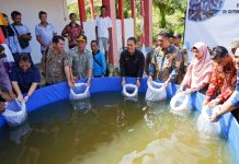 Warga Desa Mandor Kiru Terima Bantuan Benih Ikan Lele