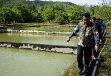 Gutmen Tinjau UPTD Balai Benih Hortikultura dan PBAT Jelimpo