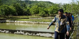 Gutmen Tinjau UPTD Balai Benih Hortikultura dan PBAT Jelimpo