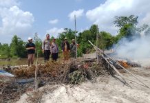 Forkopimcam Mandor Tertibkan Bekas Peti di Lokasi KIM