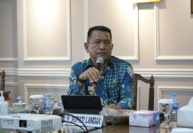 Realisasi Investasi PMA/PMDN Landak Semester I Meningkat