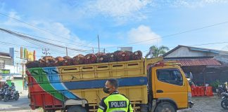 Satlantas Polres Landak Tertibkan Truk Pengangkut TBS Tanpa Jaring Pengaman
