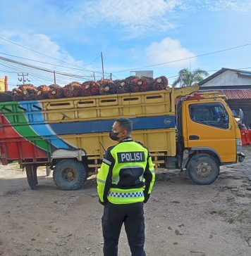 Satlantas Polres Landak Tertibkan Truk Pengangkut TBS Tanpa Jaring Pengaman