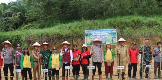 Dukung Swasembada Pangan, Pj. Bupati Landak Bersama Forkopimda Tanam Jagung Serentak