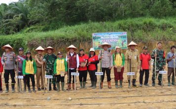 Dukung Swasembada Pangan, Pj. Bupati Landak Bersama Forkopimda Tanam Jagung Serentak