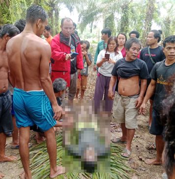 Hilang Saat Pergi Mancing, Seorang Warga Desa Nyayum Ditemukan Dalam Kondisi Meninggal Dunia