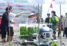 Karolin Ajak Petani Optimalkan Ketahanan Pangan Lokal