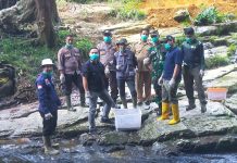 BKSDA Bersama Kepolisian Lepasliarkan Satwa Dilindungi