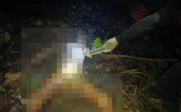 Identitas Mayat Remaja Putri di Desa Bagak Yang Ditemukan Tewas Membusuk Tanpa Busana Terungkap