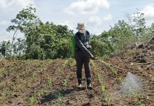 Kapolres Landak Ajak Masyarakat Mandiri Pangan